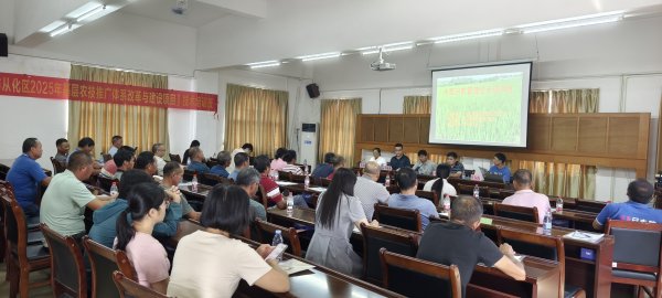 广发E配 防病害，解难题！农业科技特派员助力晚造水稻生产