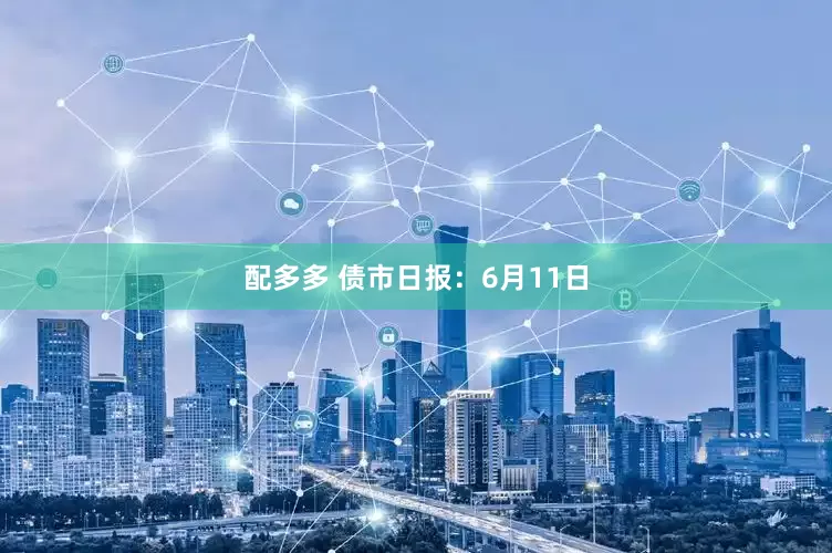 配多多 债市日报：6月11日